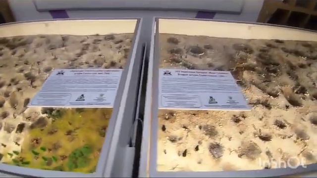 ИГРОВЫЕ ПЛОЩАДКИ НАСТОЛЬНОЙ ИГРЫ МЕСТА ИСТОРИЧЕСКИХ ПОБЕД смотреть онлайн