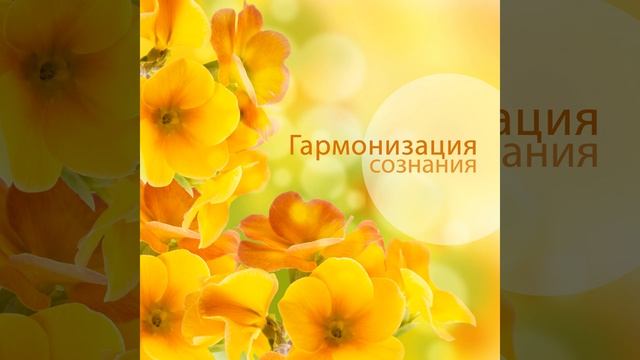 Сафари смотреть онлайн