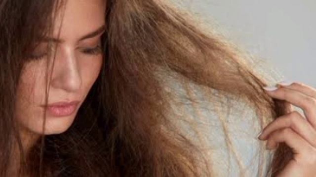 L'Oreal Paris Extraordinary Oil Serum Update Review By Noor Ali