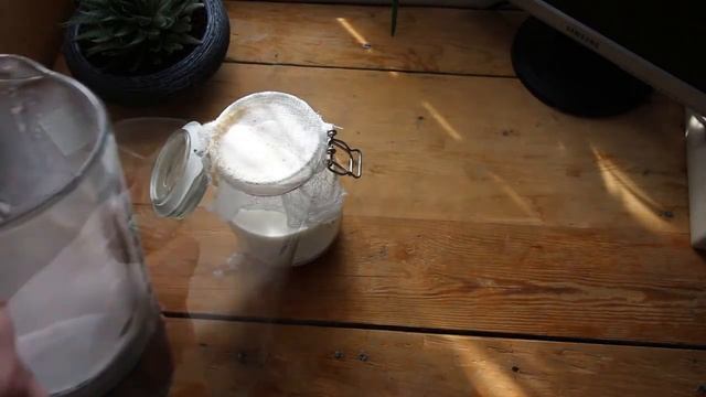 Делаем овсяное молоко дома смотреть онлайн