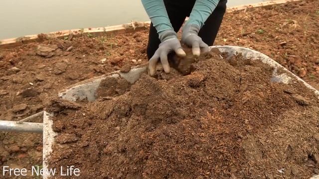 Free new life | 200 Days to build a green farm for 2 girls, Free new life, Free life, New life смотреть онлайн