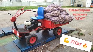 Мотоблок Агат и 1 тонна груза!