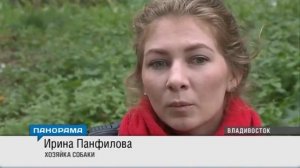 Домашние собаки гибнут от крысиного яда