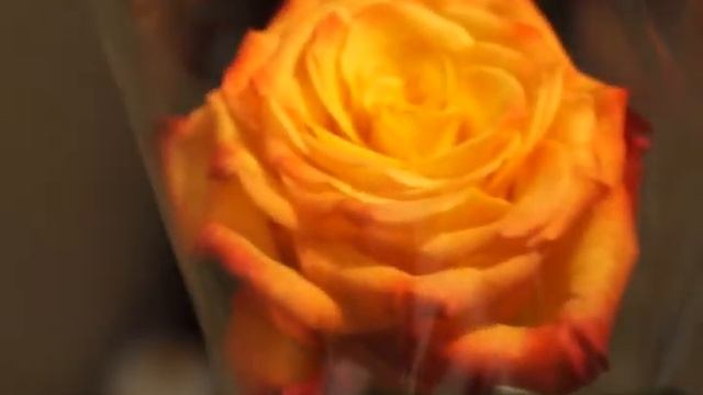 Подарки на мой день рождения 5.05.2015 смотреть онлайн