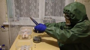 Как сделать гомункула #3 Homunculus