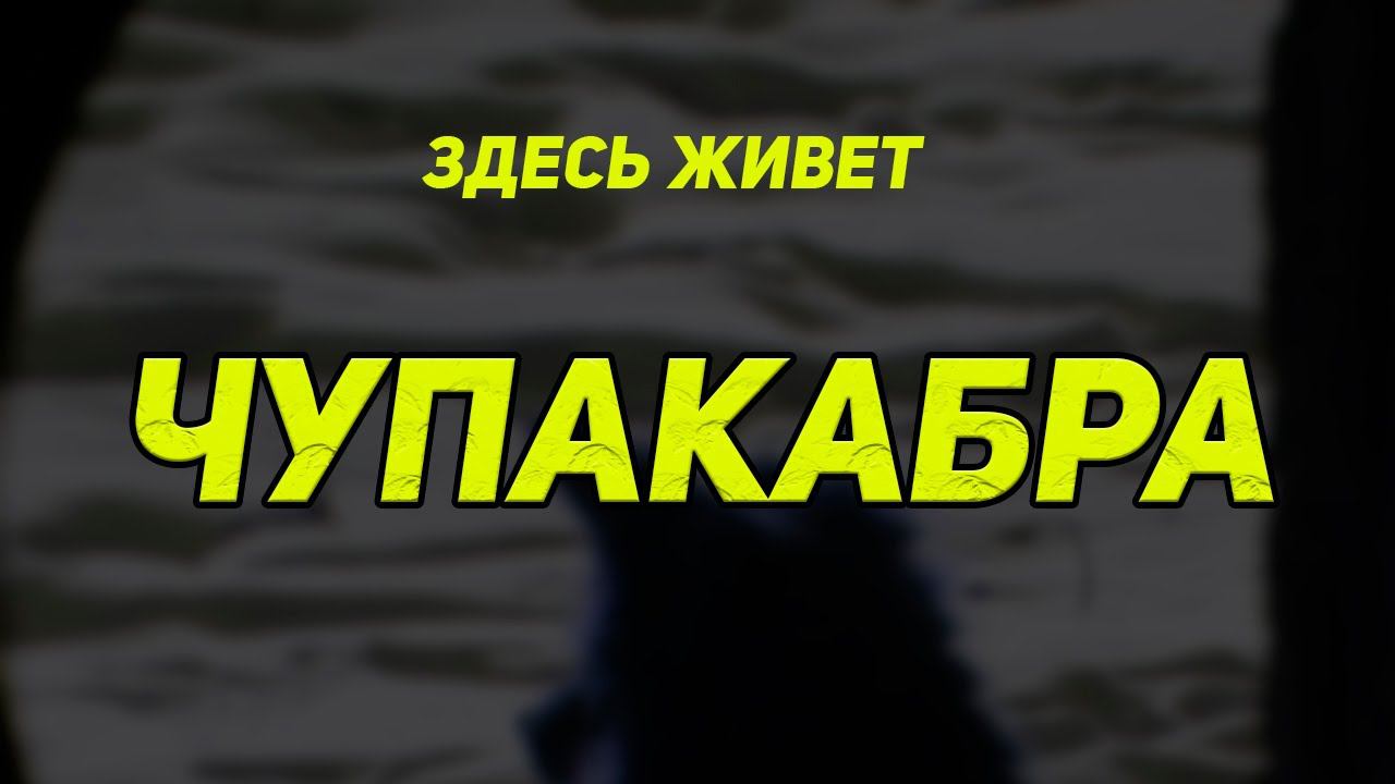 ЗДЕСЬ ЖИВЕТ ЧУПОКАБРА смотреть онлайн