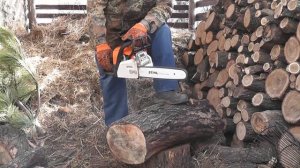 Очень краткий обзор бензопилы STIHL MS-180. Как обкатать! Как пилить!