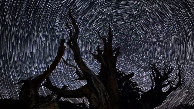 Beyond Constellations - for the 8Dio Score this contest смотреть онлайн