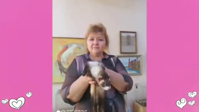 Ты жена мне, я твой муж смотреть онлайн