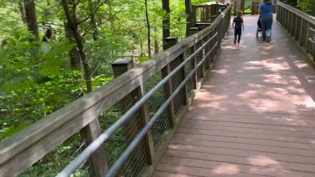 Museum of Life and Science and the Bennett Place смотреть онлайн