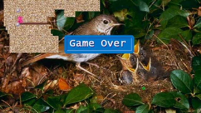 Onefog Xonix (Windows game 2001) смотреть онлайн