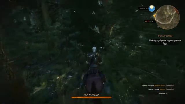 The Witcher 3 Wild Hunt - Роща Богов смотреть онлайн