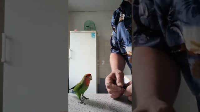 19 апреля 2019 г. смотреть онлайн