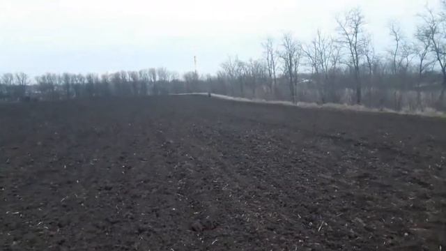 Что будет?Если сказать доберману команду фас? смотреть онлайн