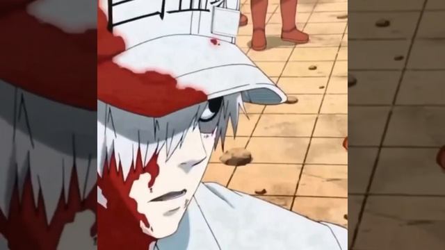 cells at work | white blood cell edit смотреть онлайн