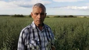 Опыт выращивания овса в КФХ Пронина АН