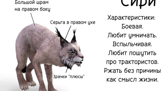 Знакомтесь, Сири! смотреть онлайн