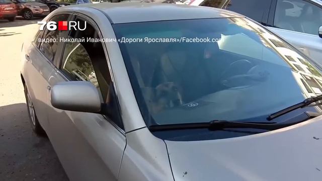 В машине оставили двух детей и собаку смотреть онлайн