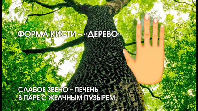 О чем расскажет форма рук смотреть онлайн