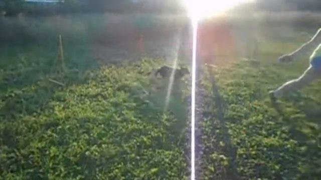 Зэт 5 месяцев смотреть онлайн