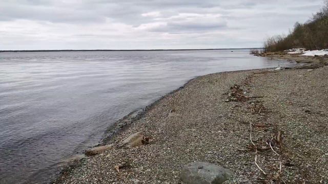 HwVideoEditor 2022 03 07 105936976 смотреть онлайн