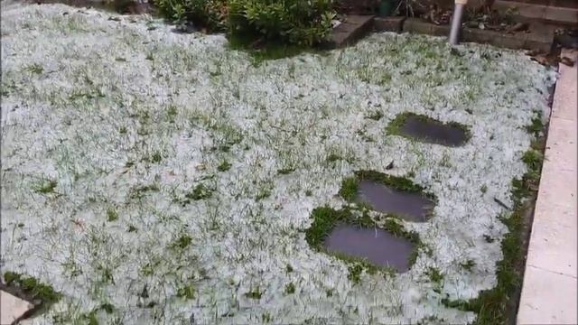 МОЙ РЕЦЕПТ ПЮРЕШКИ. НАШ УЖИН. ЧЕЧЕВИЦА. ПЕРВЫЙ СНЕГ. РОЖДЕСТВЕНСКИЕ ОГОНЬКИ. смотреть онлайн