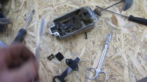 Профилактика лобзика Фиолент, нужна ли она?