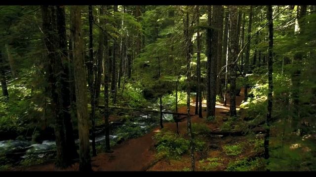 4K NATURE VIDEO RELAXATION | 4К Видео природы и Раслабление