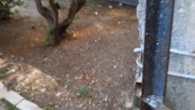 Причина сделать фундамент из бетона под газовые баллоны, (1-я часть). Гиват аМоре, Афула, Израиль. смотреть онлайн