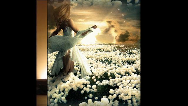 Vladimir Košir Tonka Zagrli me jako смотреть онлайн