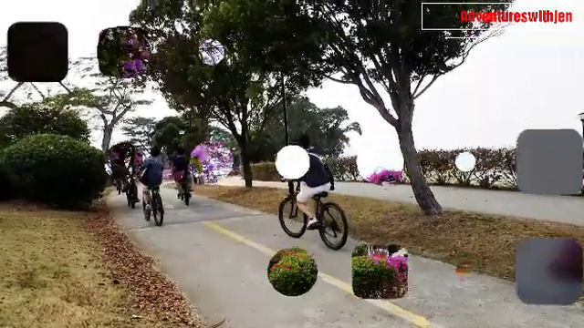 BOUGAINVILLEA GARDEN #Singaporegarden#Bougainvillea смотреть онлайн