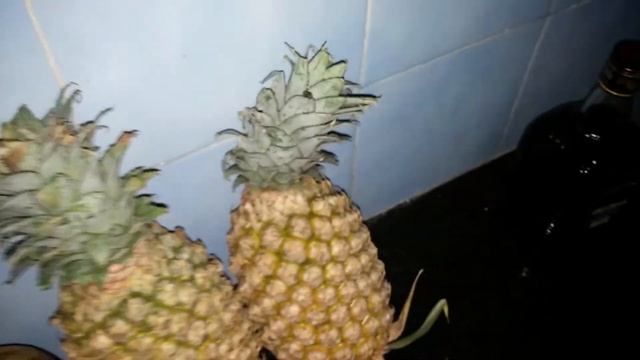 Обзор что можно купить|в Индии за 200 рупий? смотреть онлайн