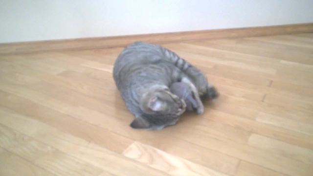 WP 20160330 08 08 24 Pro смотреть онлайн