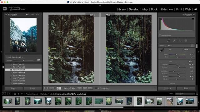 Free Forest Lightroom Presets Download For Mobile And Desktop смотреть онлайн