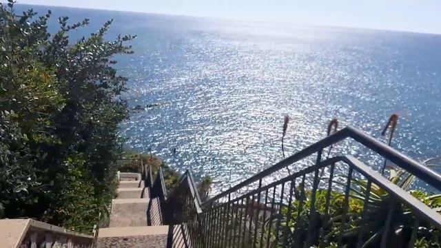 День Святого Валентина.Valentine´s Day. смотреть онлайн