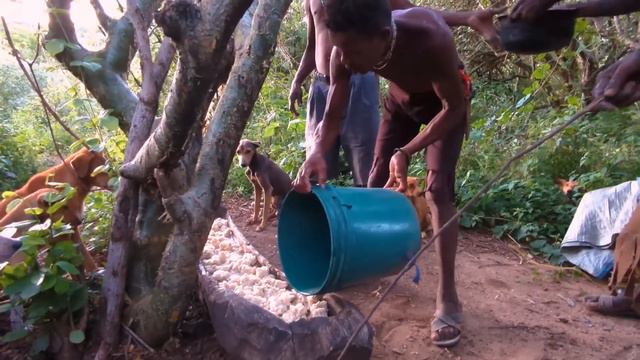Inside Hadzabe Tribe: Life Of The Hunters,unseen Action From African Hadza