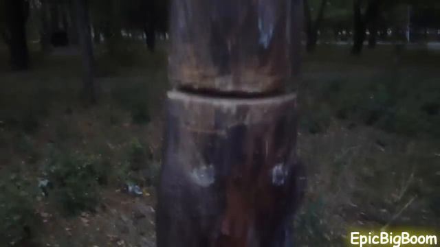 Деревцо смотреть онлайн