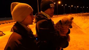 ВЛОГ Первый раз ГУЛЯЕМ с ЩЕНКОМ на Улице