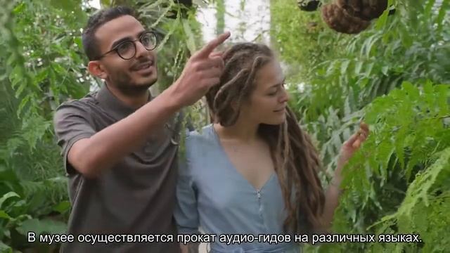 О главном штабе Эрмитажа: где вход в здание на выставку, официальный сайт смотреть онлайн