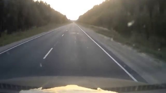 Олень смотреть онлайн