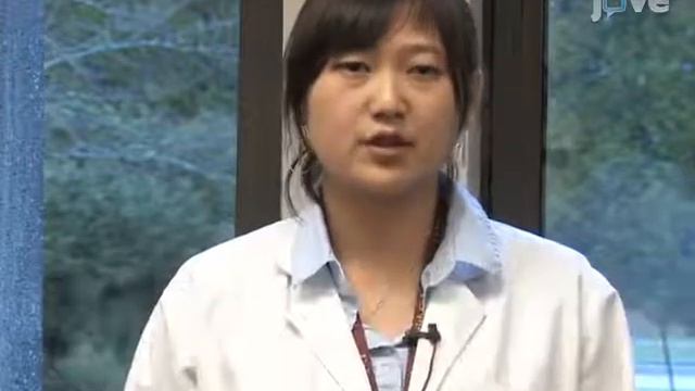 Morris Water Maze Test For Alzheimer's Disease Model In Mice