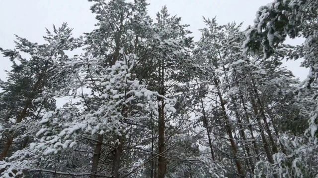 Gunavati | Mantra Baba Nam Kevalam | "Winter" Kiirtan смотреть онлайн