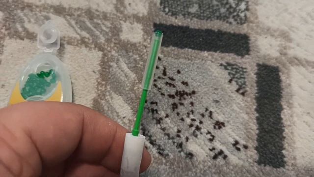 Купил 100 капсул Мыргенштерна! Такого я не ожидал! смотреть онлайн