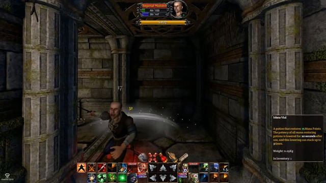 The Fall Of The Dungeon Guardians - Part 9 - Bones Dragon смотреть онлайн