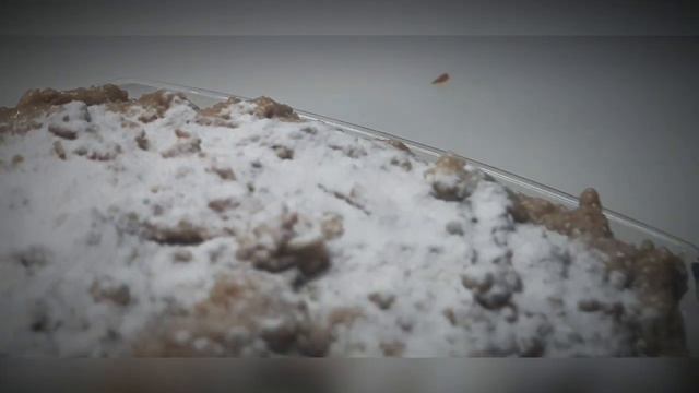 Мотоциклы и Экстрим