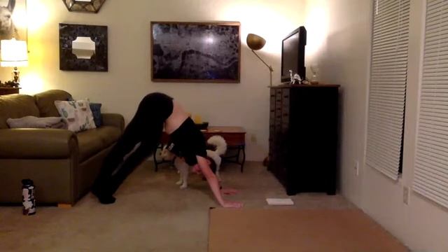 Dancers Stretch w/Maddy Lever! BreakOut Studios Online Classes. смотреть онлайн