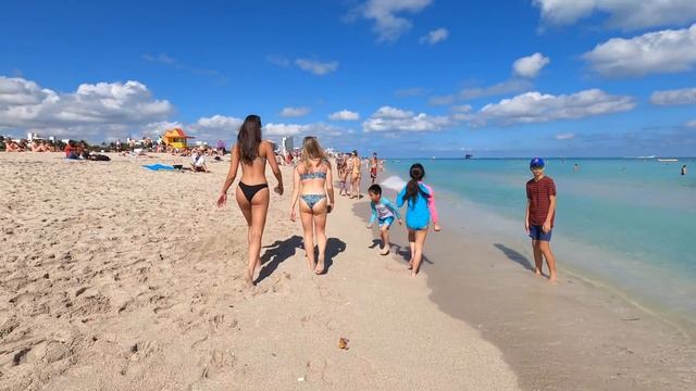 .Beautiful Miami Beach Walk | #miami #miamibeach #florida #usa #usabeauties. 25 Stycznia. 4K
