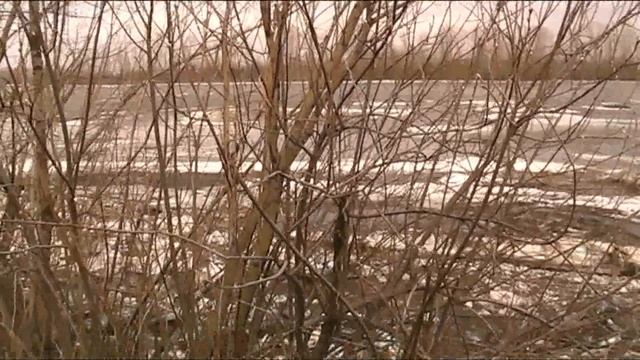 Явление природы.. смотреть онлайн
