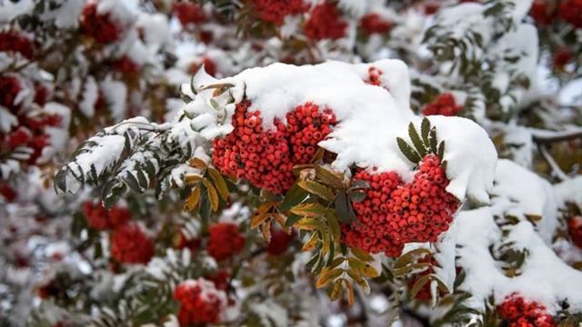 Укоряй себя во всем и обретешь спокойствие и мир. Игумен Никон Воробьев.. смотреть онлайн