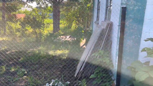 Обзор сада на 28.06.23/розы,петунии,гортензии,томаты,огурцы,клубника,смородина,крыжовник,ливни,град смотреть онлайн